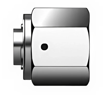 SM16CP - Stainless Steel Cap 1" Head Size